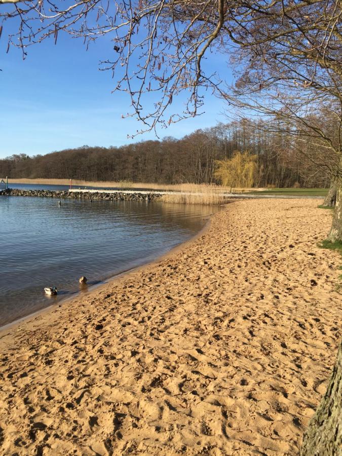Ferienhaus Mit Bootssteg Am See In ריינסברג מראה חיצוני תמונה